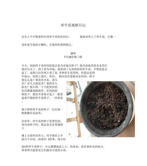 牵牛花的浇水频率与注意事项（科学浇水）