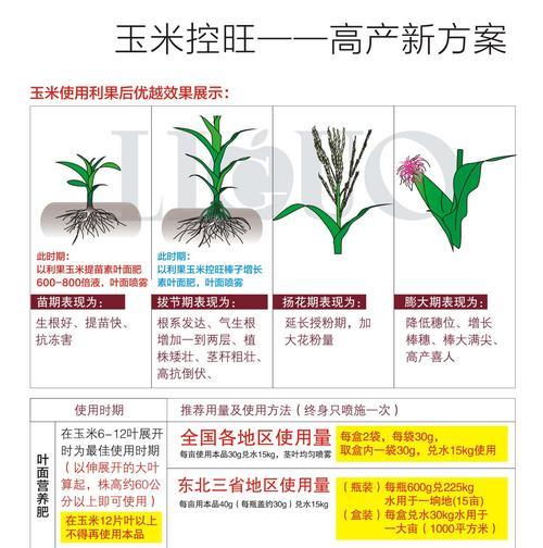 探秘栗米的功效与作用（来一份健康美味——栗米）