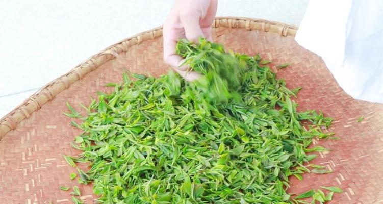 探秘眉茶的种类与功效（从种植到品尝）