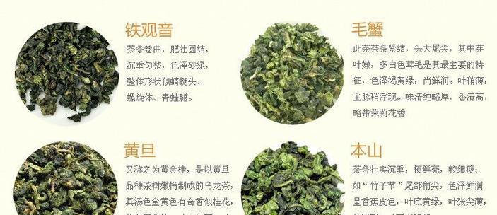 探秘龙利叶的神奇功效与作用（掌握龙利叶的食用方法）