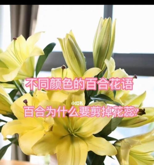 以月季玫瑰百合的花语——爱与美的结合（传递幸福的鲜花语言）