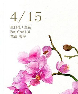 错过的花语——以桃花为例（在错过中传递的情感）