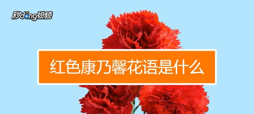 橙色康乃馨代表什么？花语含义及送花建议是什么？