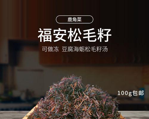 鹿角菜生长环境是什么？如何找到野生鹿角菜？