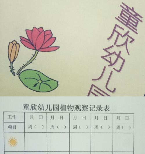 绿宝浇水频率如何根据季节调整？春夏秋冬浇水有何区别？