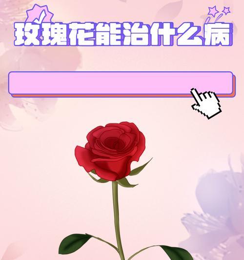 207朵玫瑰花代表什么含义？