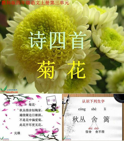 菊花古诗文章的结尾怎么写的比较好