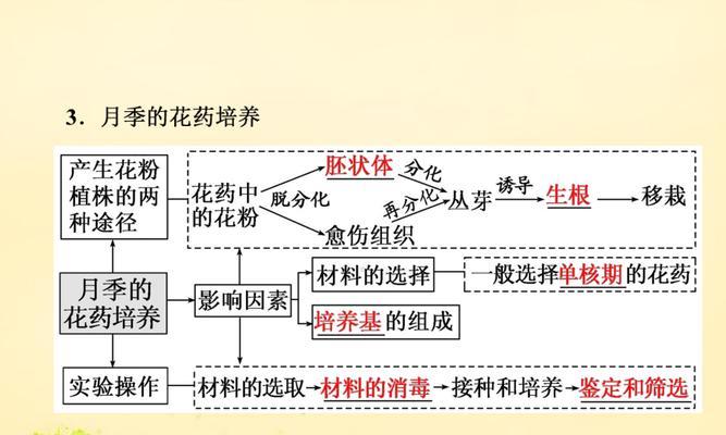 植物的主要组织有哪些功能？它们如何协同工作？