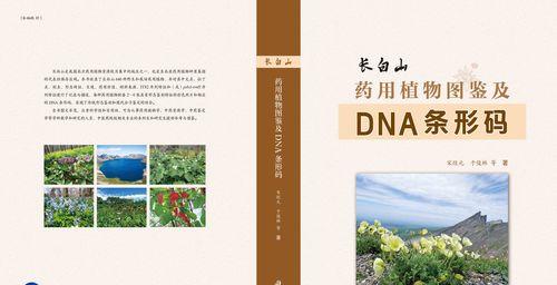 桂子是哪种植物的果实？桂子的植物学分类是什么？