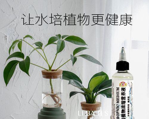 水陪植物应该用什么养料？如何正确施肥？