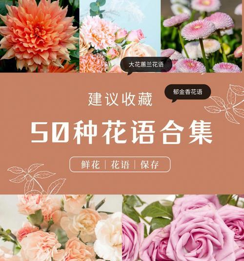 哪种花的花语代表保护？保护的花语有哪些？