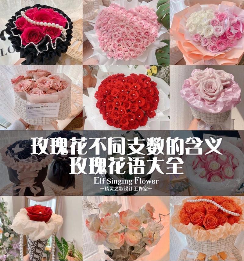 用钱找到玫瑰花代表了什么？它在花语中有什么特殊含义？