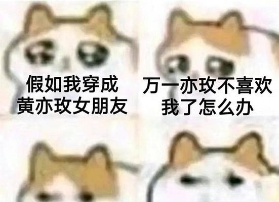 表情包里做玫瑰花的含义是什么？如何在聊天中正确使用？