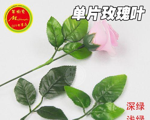 绿色玫瑰花耳钉代表什么？花语含义有哪些？