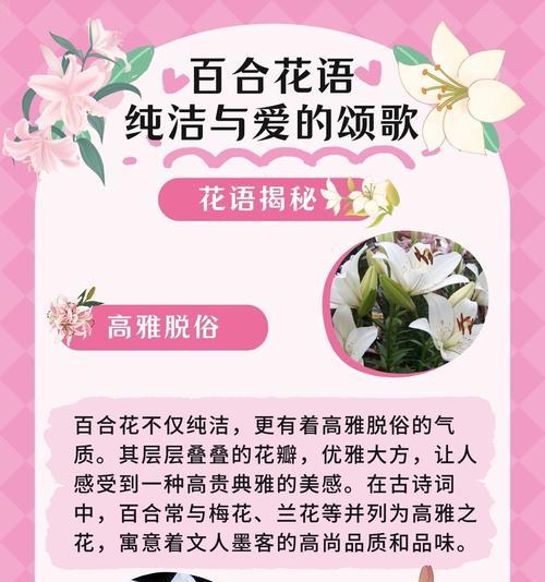 送百合花有哪些特别的含义？